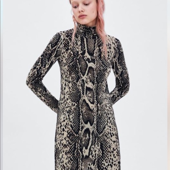zara snakeskin dress